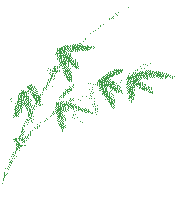 仲夏縈香，歡“粽”時(shí)光│將軍陶瓷集團(tuán)端午節(jié)特別活動圓滿舉行(圖7)